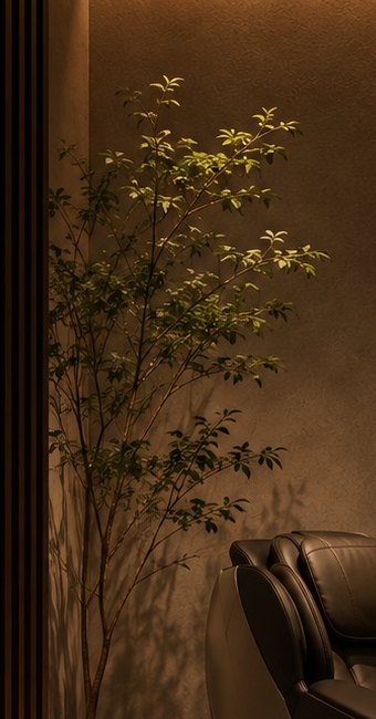 壁面のライトに照らされた植栽と、その影。